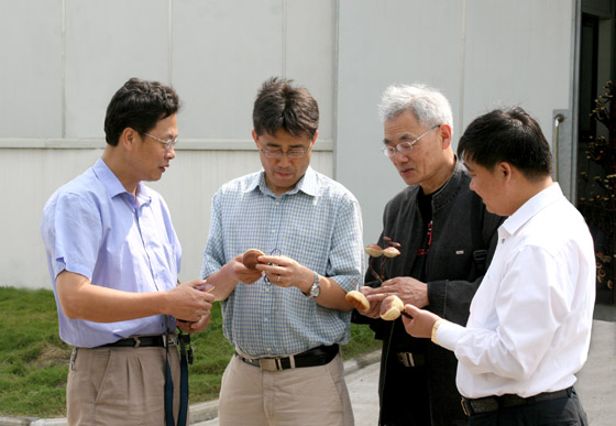 k8·凯发(中国)天生赢家·一触即发 k8·凯发(中国)天生赢家·一触即发