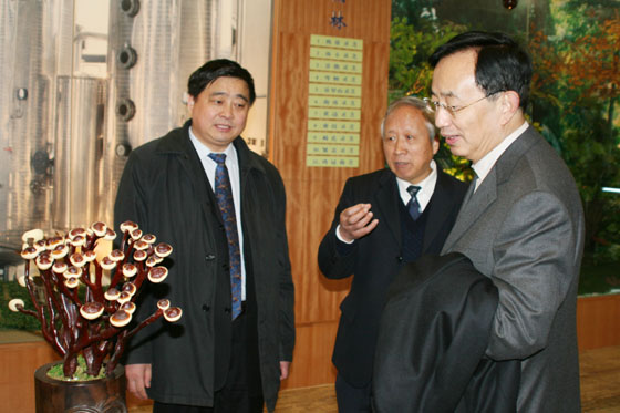 k8·凯发(中国)天生赢家·一触即发 k8·凯发(中国)天生赢家·一触即发